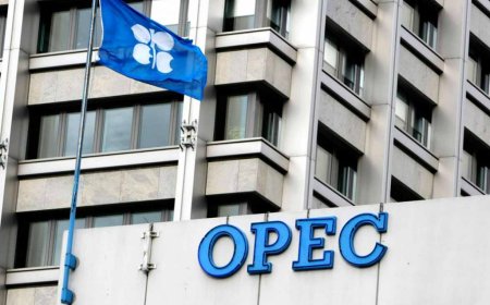 Record OPEC+ Fuel Exports Blunt Crude Supply Cut Impact
