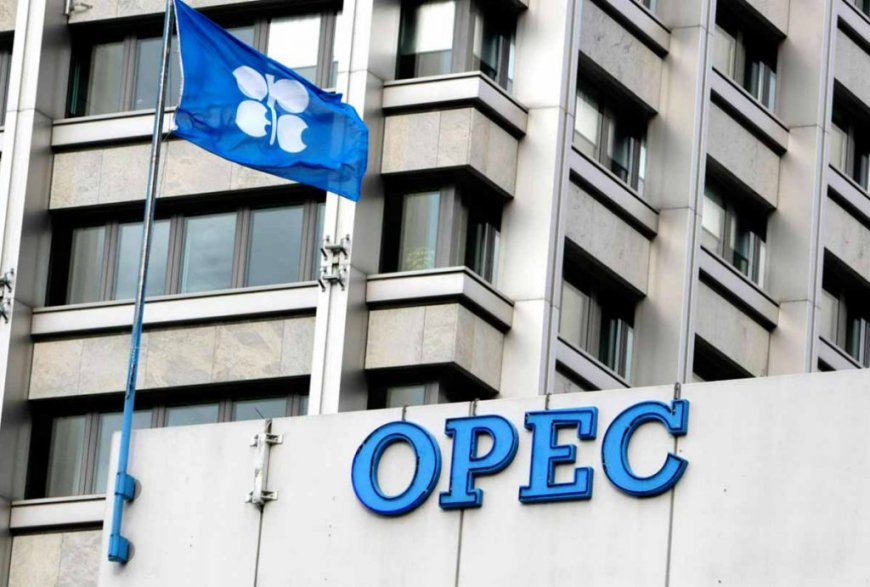 Record OPEC+ Fuel Exports Blunt Crude Supply Cut Impact